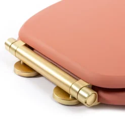 Abattant WC frein de chute design