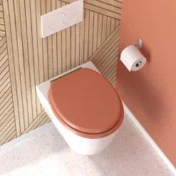 Abattant WC frein de chute design