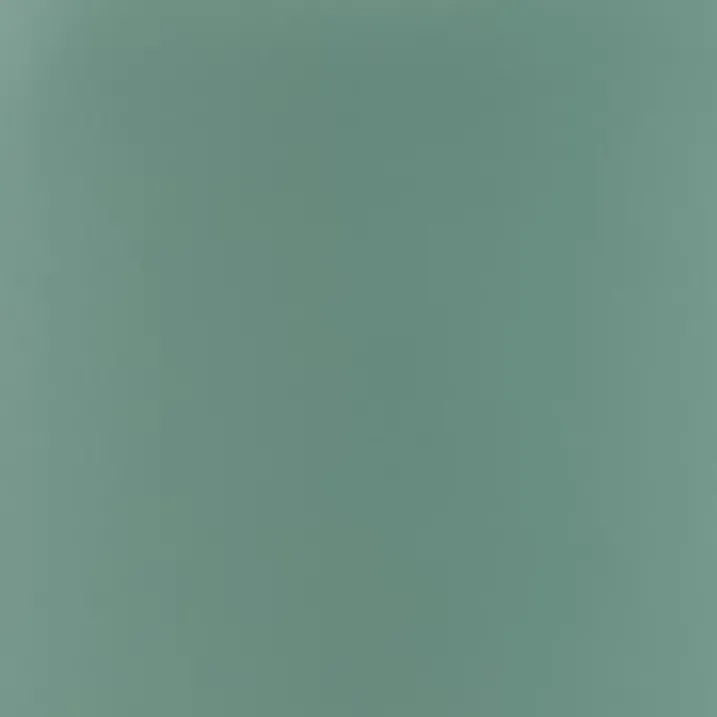 Abattant wood slim déclipsable uni