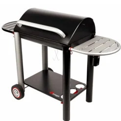 Barbecue avec couvercle