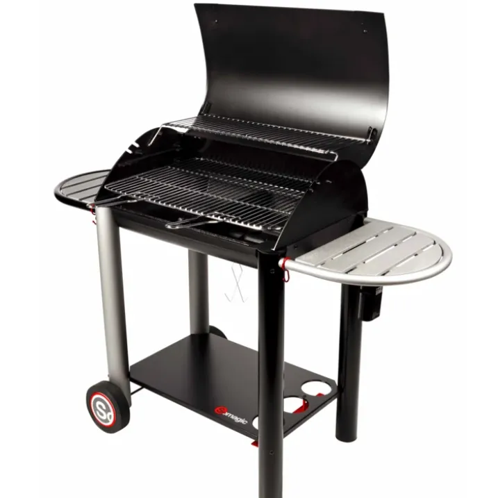 Barbecue avec couvercle
