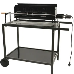 Barbecue spécial rôtisserie