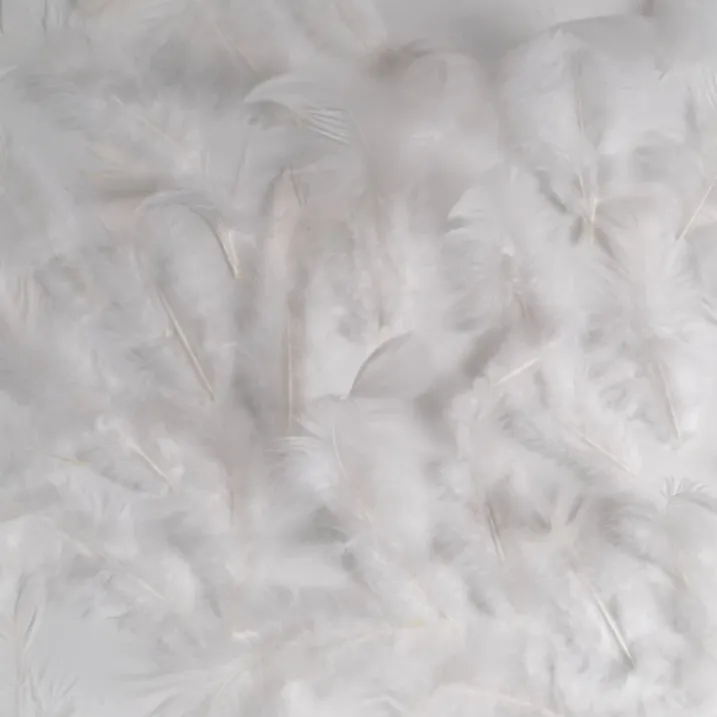 Boa ou guirlande en plumes