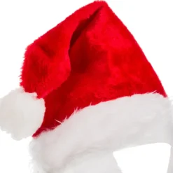 Bonnet et fausse barbe de père noël