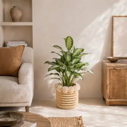 Cache-pot tressé avec pompons