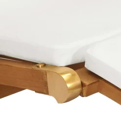 Chaise longue avec coussin