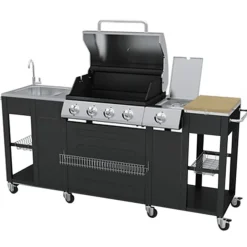 Cuisine d'extérieur avec barbecue