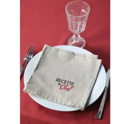 Duo de serviettes de tables bicolores