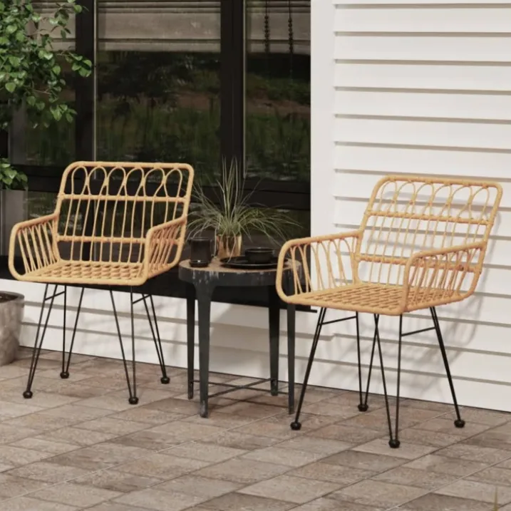 Lot de 2 chaises de jardin avec accoudoirs