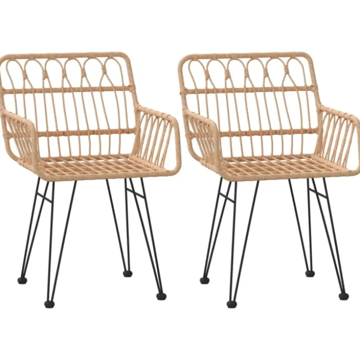 Lot de 2 chaises de jardin avec accoudoirs