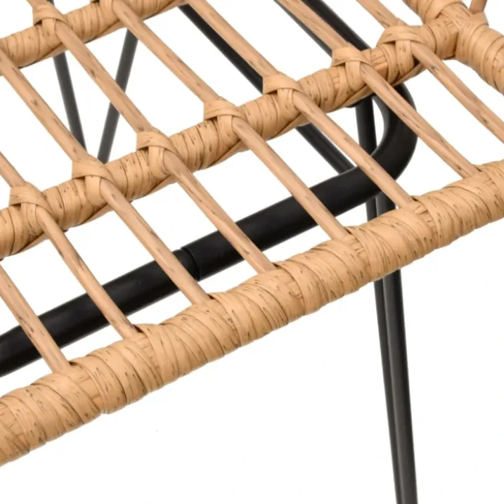 Lot de 2 chaises de jardin avec accoudoirs