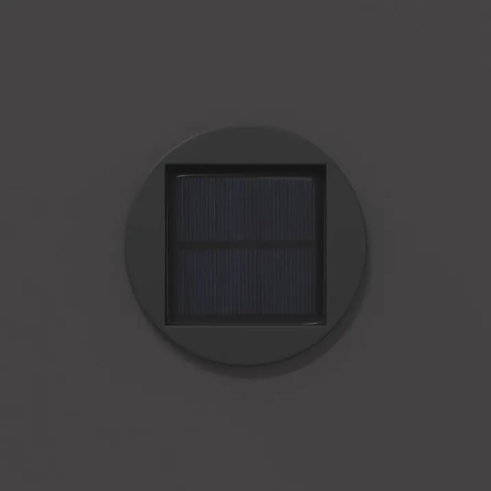 Lot de 2 lampes de chemin solaire LED extérieur végétal