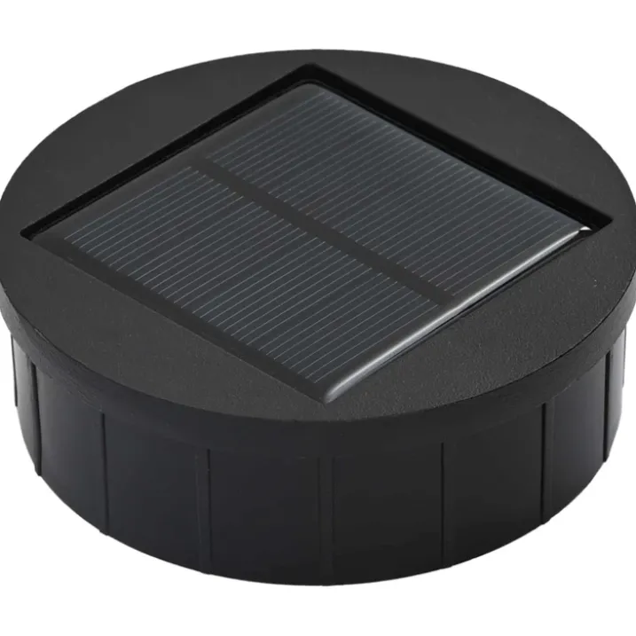 Lot de 2 lampes de chemin solaire LED extérieur végétal