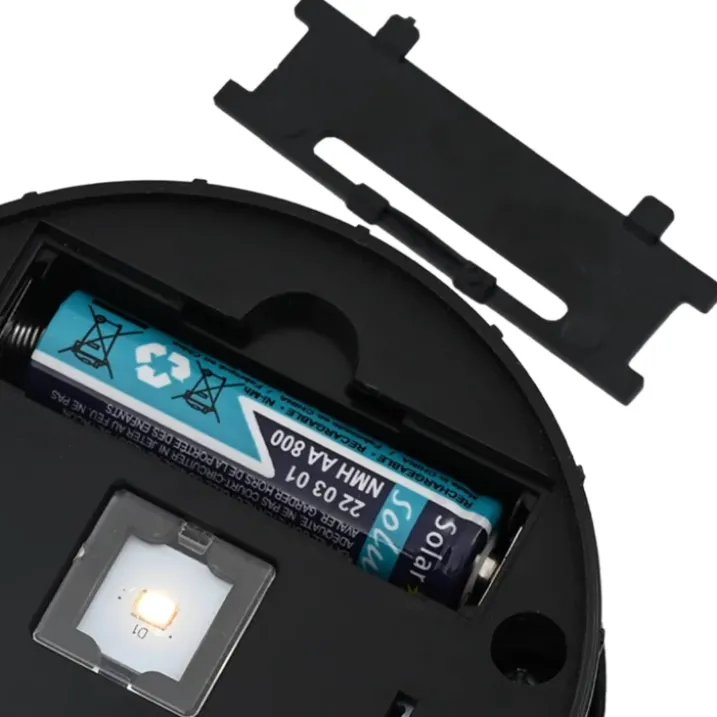 Lot de 2 lampes de chemin solaire LED extérieur végétal