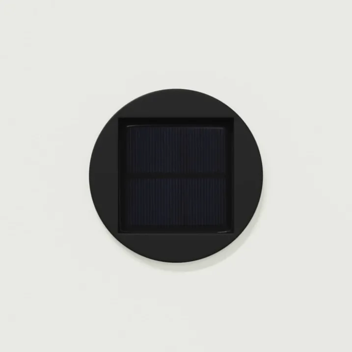 Lot de 2 lampes de chemin solaire LED extérieur végétal