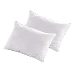 Lot de 2 oreillers ALASKA