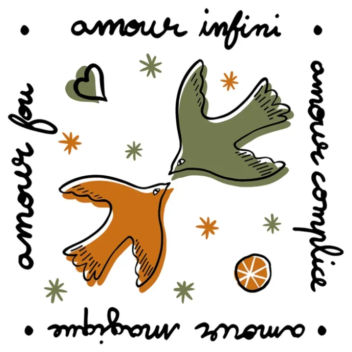 Lot de 20 serviettes papier amour oiseaux