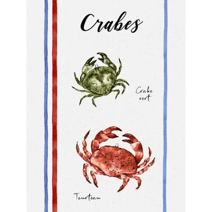 Lot de 3 torchons en coton lavé fruits de mer