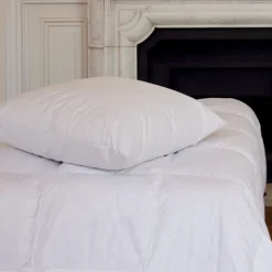 Oreiller en plumettes et duvet