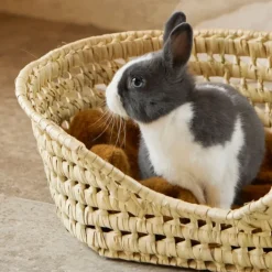 Panier Osier pour petit chien