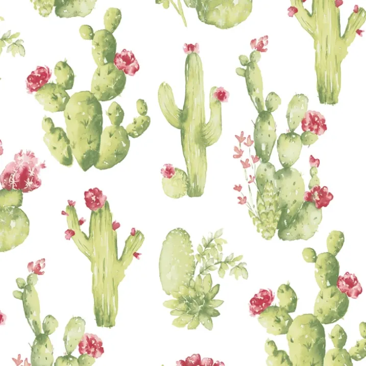 Papier peint cactus