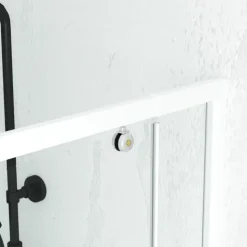 Porte de douche pivotante en verre trempé