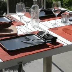Set de table plastique lavable