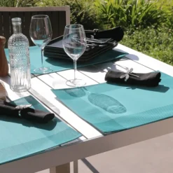 Set de table plastique lavable