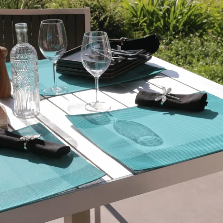 Set de table plastique lavable