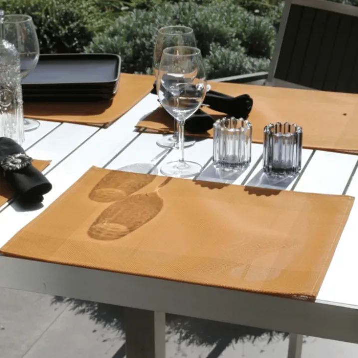 Set de table plastique lavable