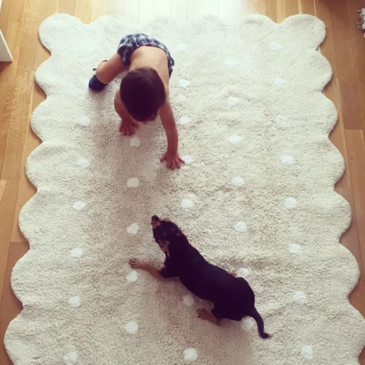 Tapis lavable en forme de biscuit