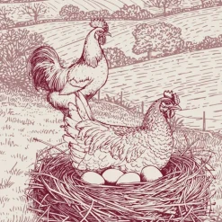 Torchon en coton poule campagne