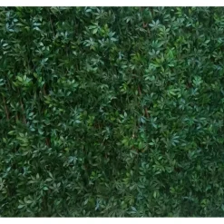 Treillis "feuilles de vigne vertes" JET7GARDEN